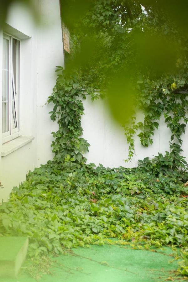 Magic Garden Hostel Kaliszki Екстериор снимка